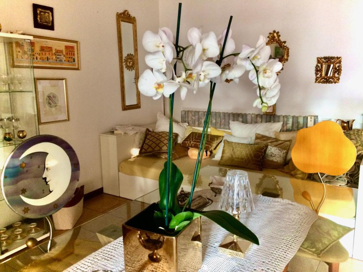 Da Coco E Mini,L'Angolo Per Ceramiste In Viaggio - Faenza Extérieur photo