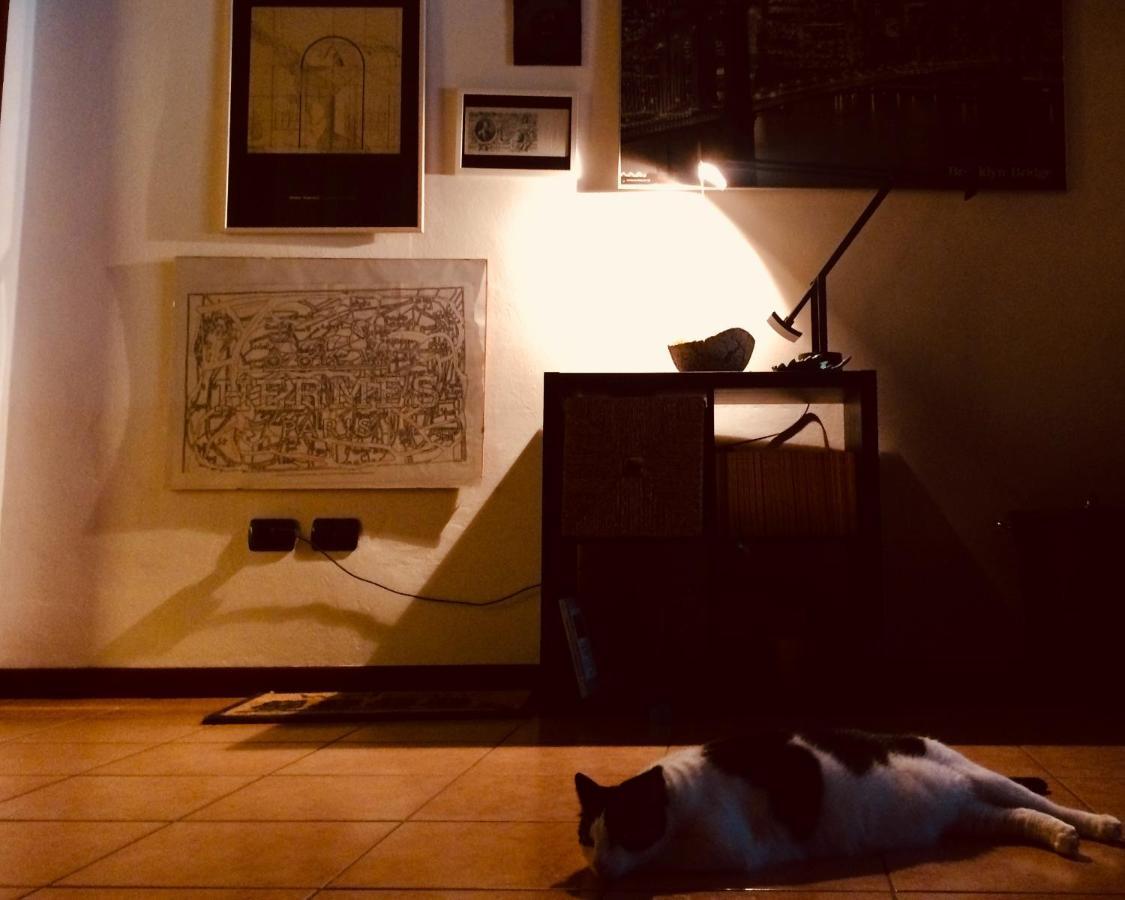 Da Coco E Mini,L'Angolo Per Ceramiste In Viaggio - Faenza Extérieur photo